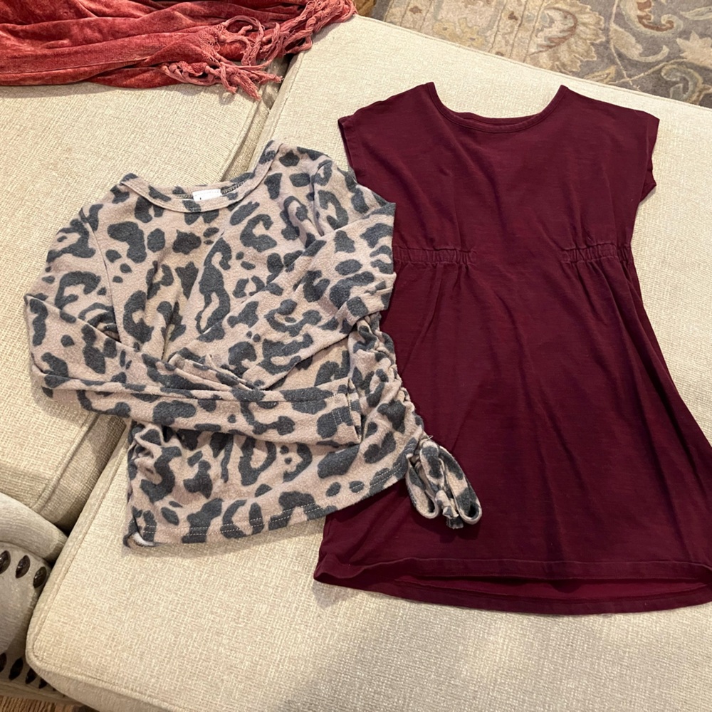 Girls Leopard Print top with Burgundy dress Set